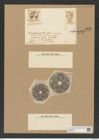 Actinoptychus sp. (de-Toni-Nr.: Genus 227, Species 5519 ?) Zeichnungen Sammlung Grunow Nr. 9522 (NHMW-BOT-W0379513)